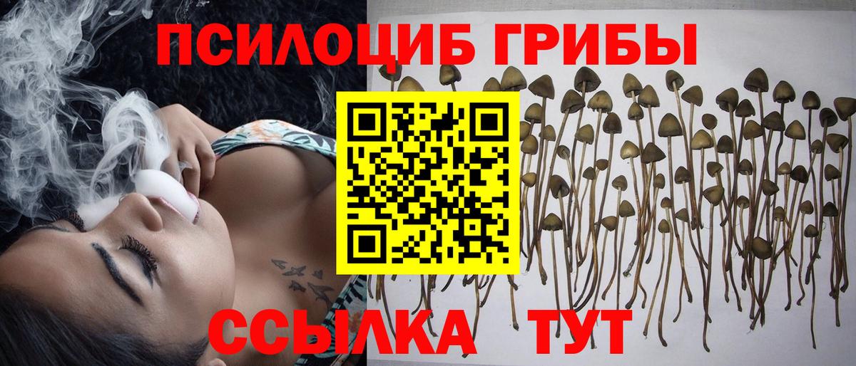 как найти закладки  Псилоцибиновые грибы мухоморы  Вход с VPN  Старая Купавна 