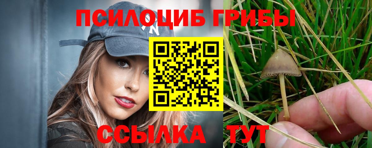 Псилоцибиновые грибы Magic Shrooms Старая Купавна